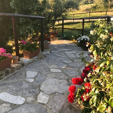 Salto Di Gatto