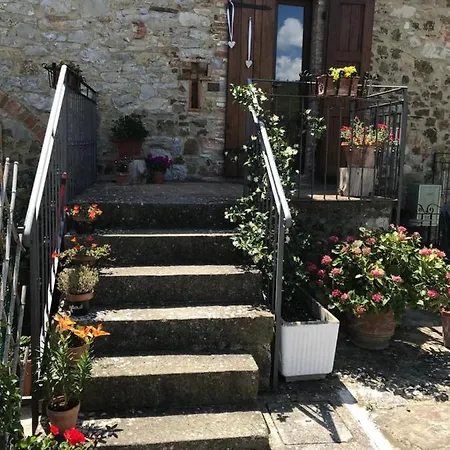 Salto Di Gatto