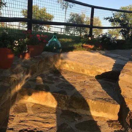 Holiday home Salto Di Gatto Castellina in Chianti