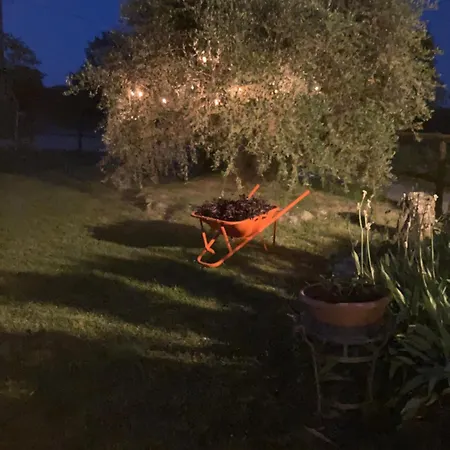 Salto Di Gatto