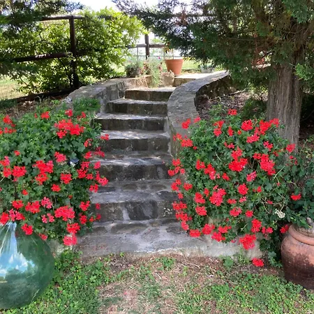 Salto Di Gatto *