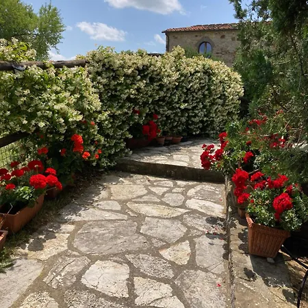 Salto Di Gatto Castellina in Chianti